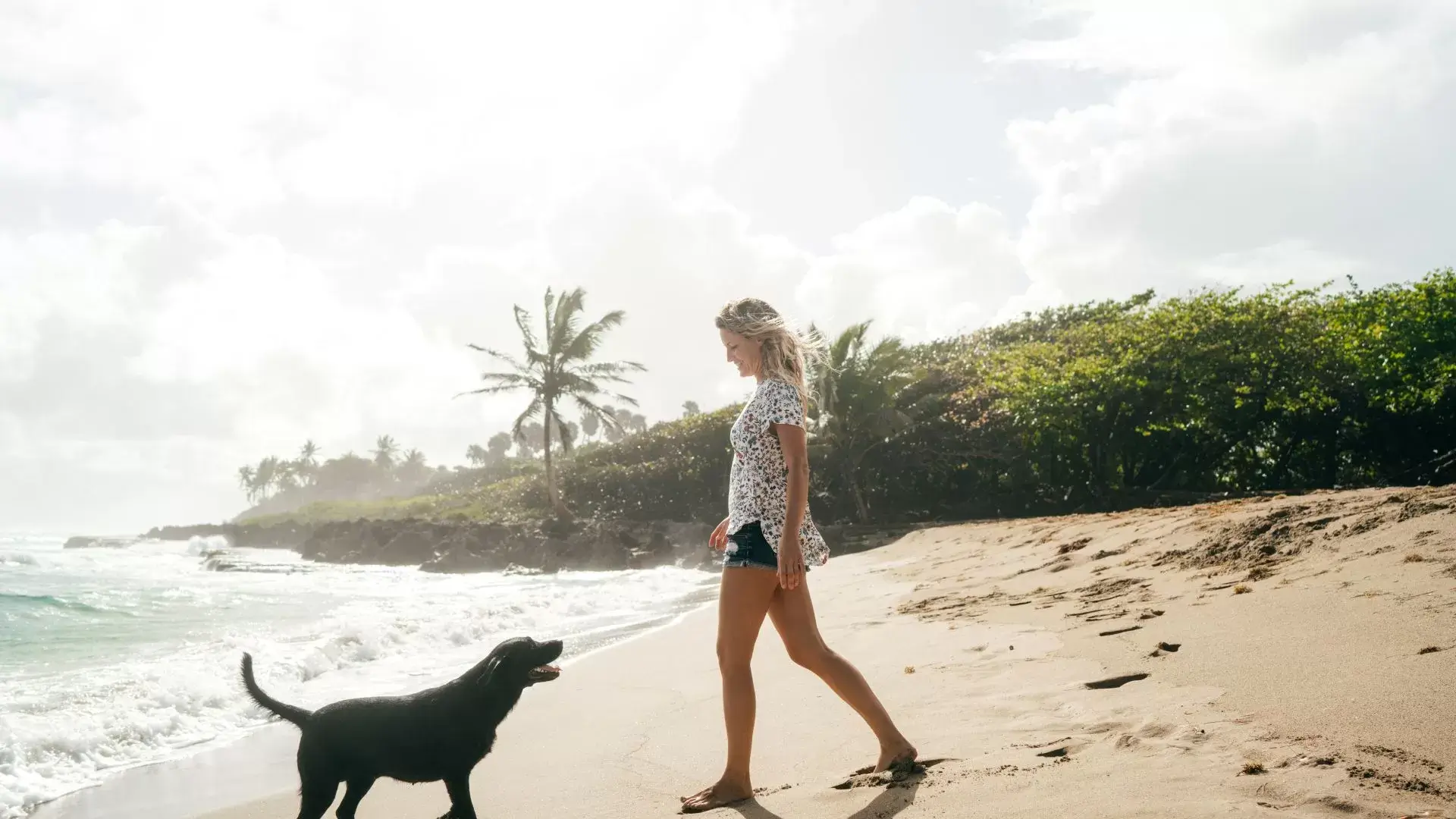 Managing Divorce Anxiety: Proven Strategies for Emotional Balance 7 Incorporate gentle physical activity to ease anxiety, with guidance from a psychotherapist.